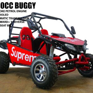 200CC BUGGY